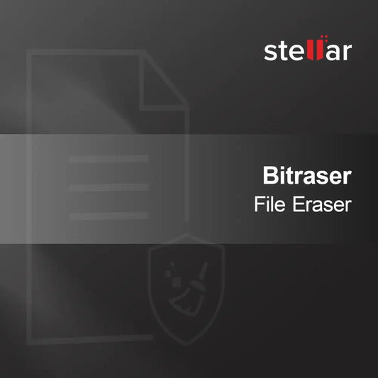 Bitraser Filvisker