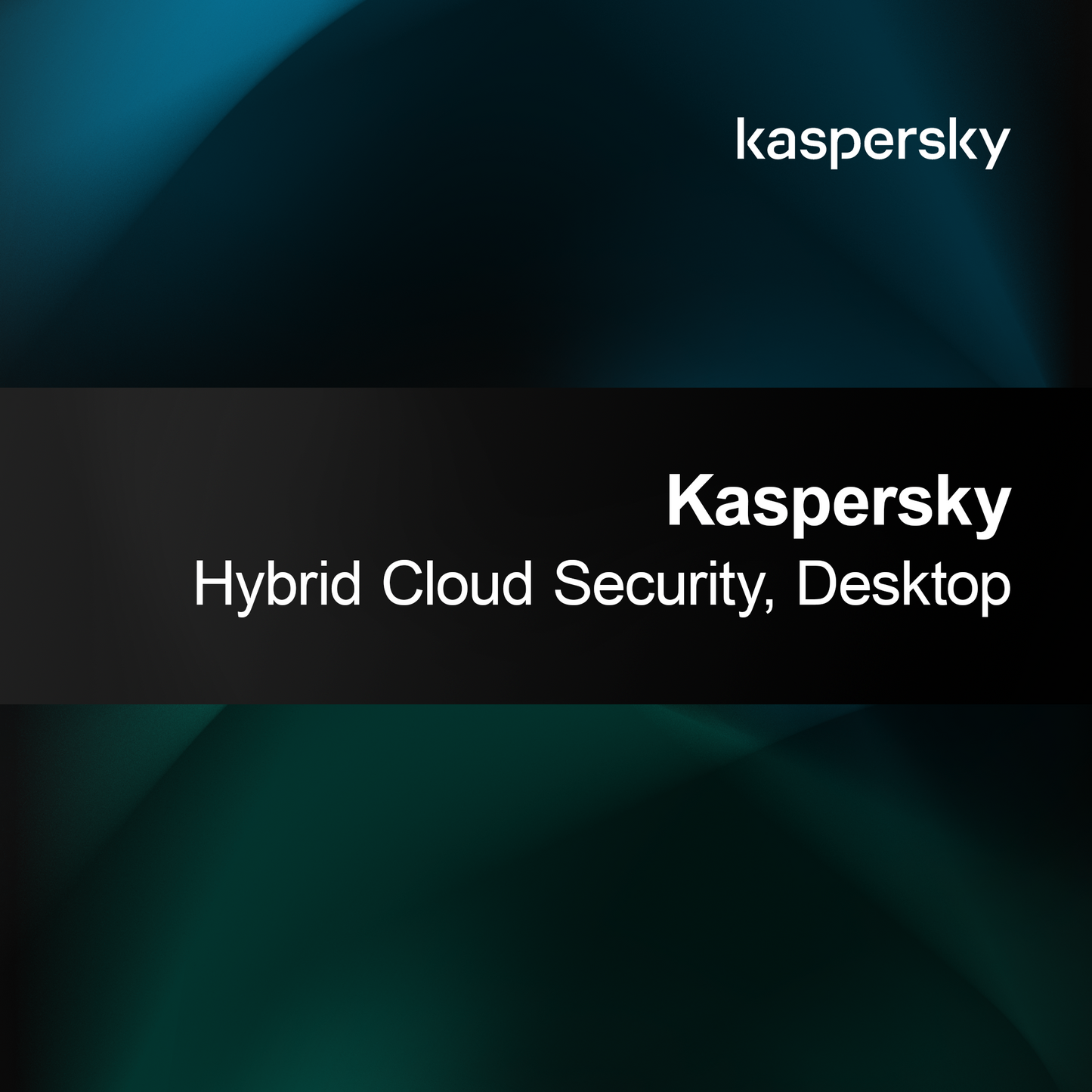 Kaspersky Hybride Cloudbeveiliging, Desktop